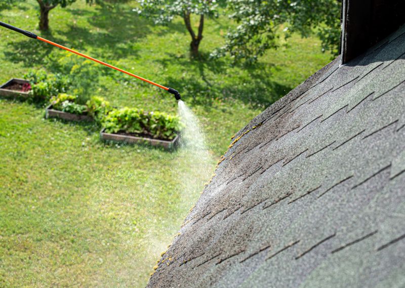 Roof Maintenance Programs