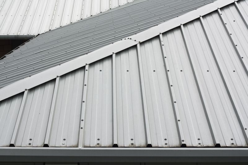 Specialized Metal Roof Repair Experts